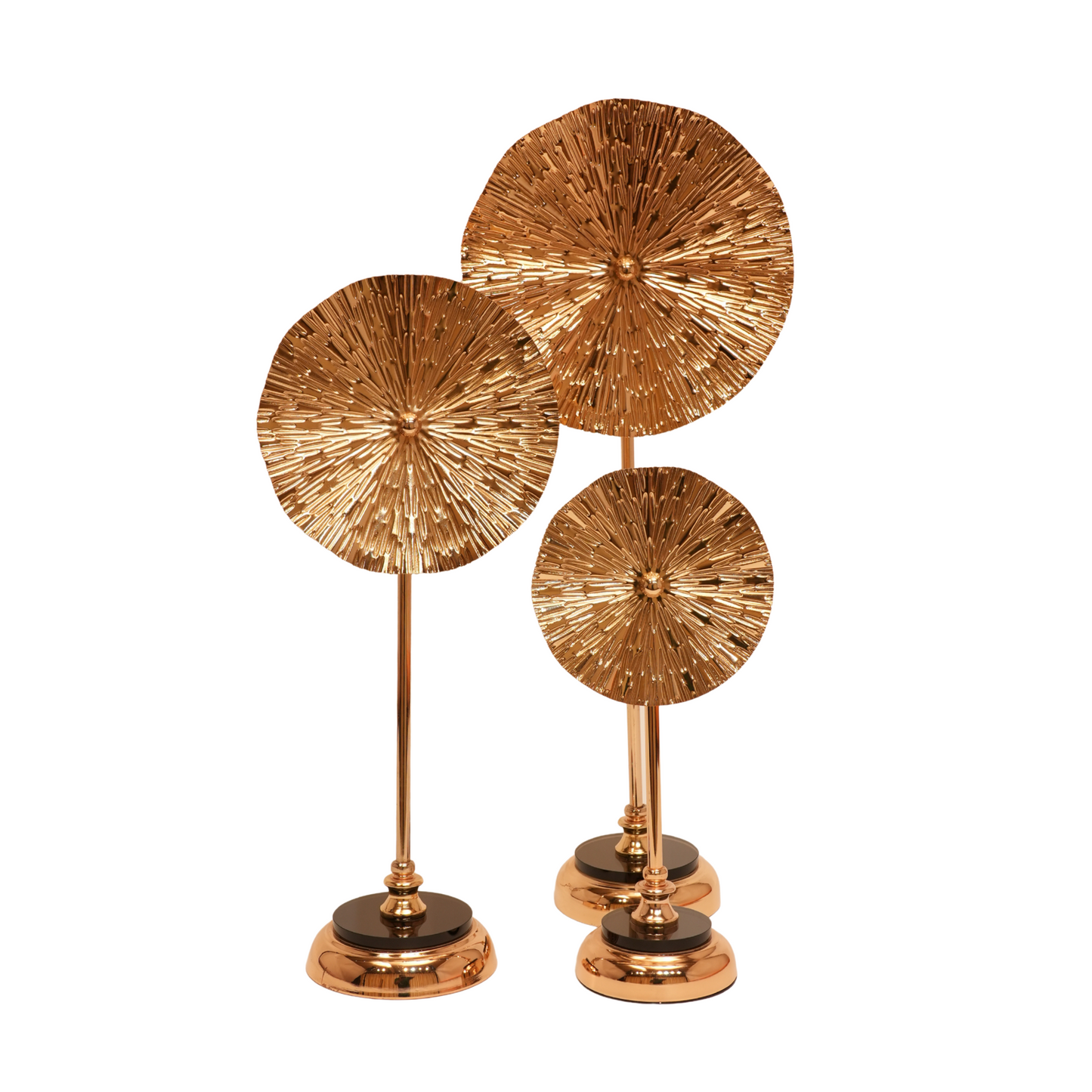 Blossom Radiance - Set of 3