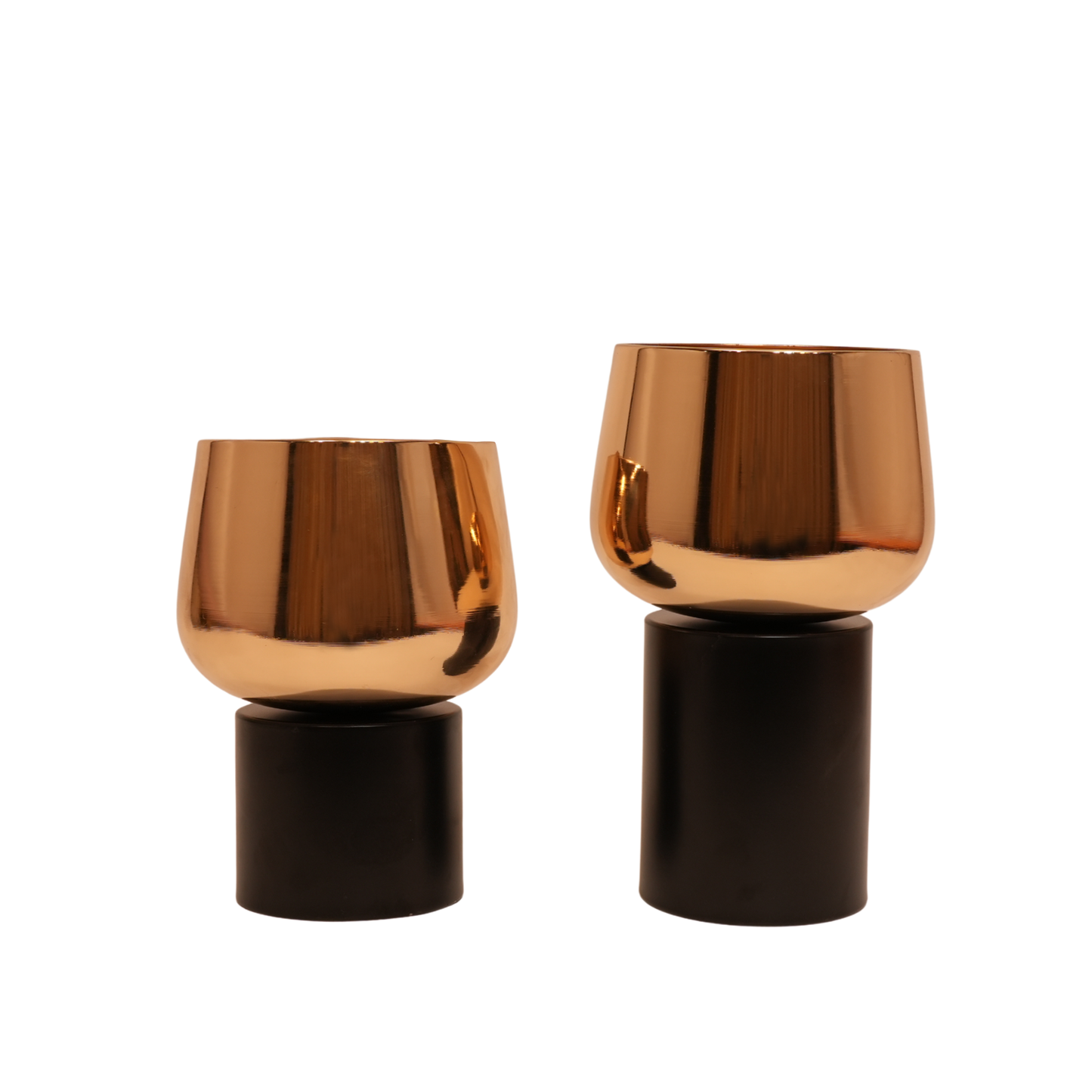 Auric Elegance Dual Vase Set - (S, M)